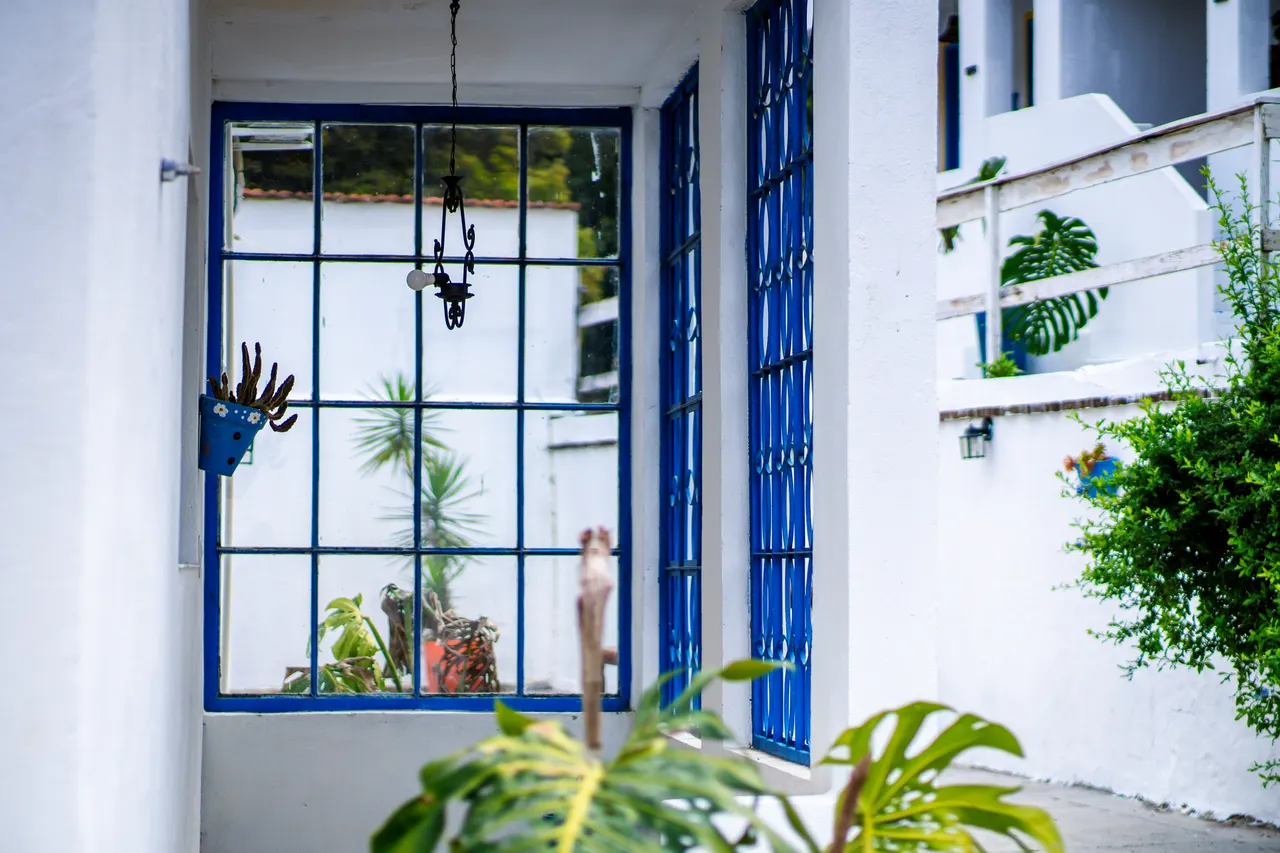 Janela azul com plantas